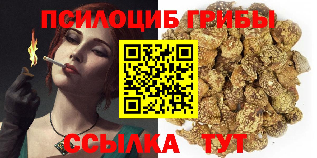 Муром  Галлюциногенные грибы Psilocybe  Вход с VPN 